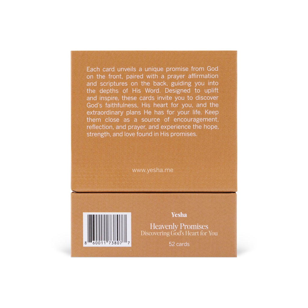 Christian Promise Cards for Men & Women – 52 Bible-Based Scripture and Prayer Cards with God’s Promises – Faith Gifts for Daily Encouragement, Devotionals, Healing, Reflection & Spiritual Growth